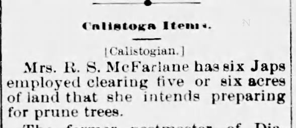 Robina has "six Japs" clearing 5-6 acres of land to plant prunes. 1893